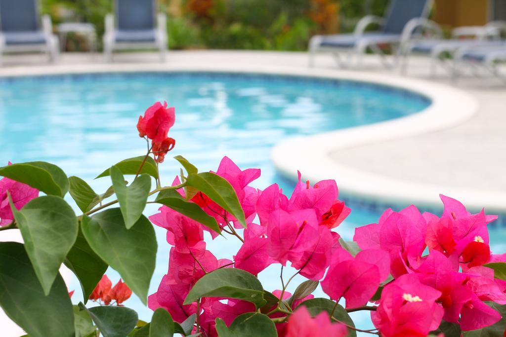 Corinto Pearl Eco Resort El Pino Luaran gambar