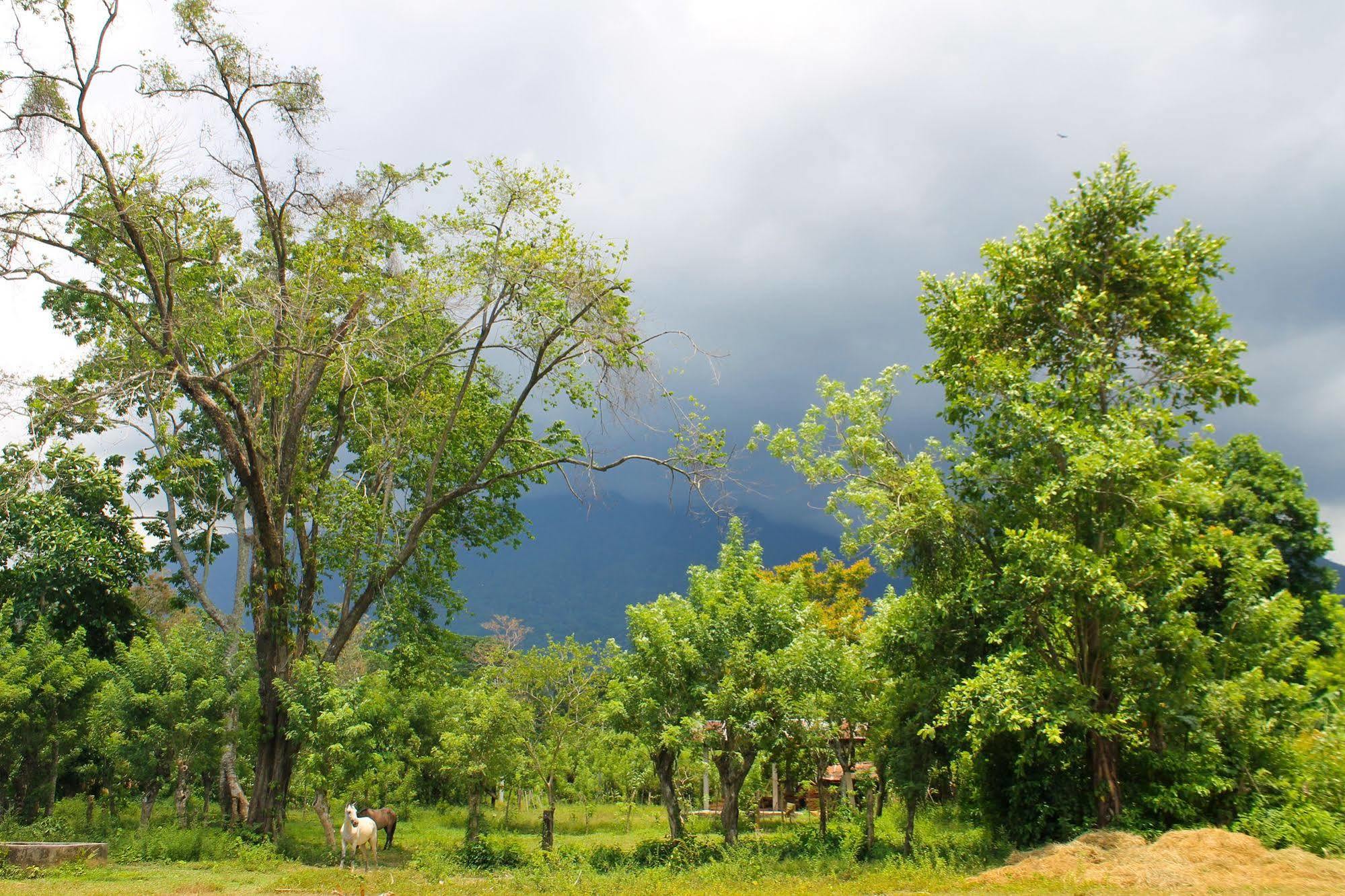 Corinto Pearl Eco Resort El Pino Luaran gambar