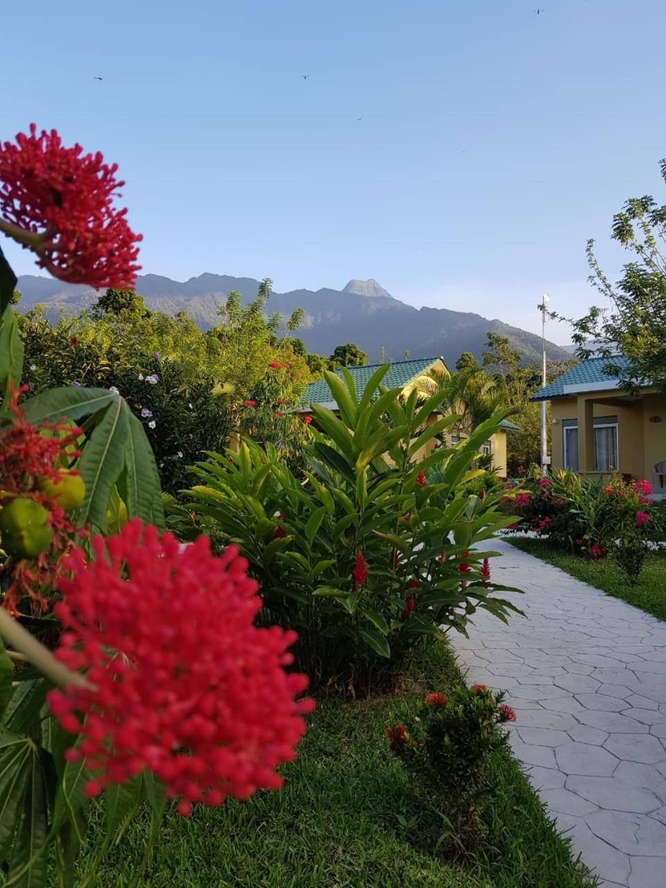 Corinto Pearl Eco Resort El Pino Luaran gambar