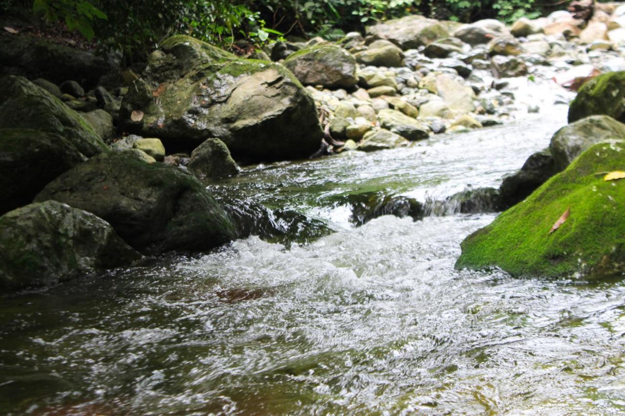 Corinto Pearl Eco Resort El Pino Luaran gambar