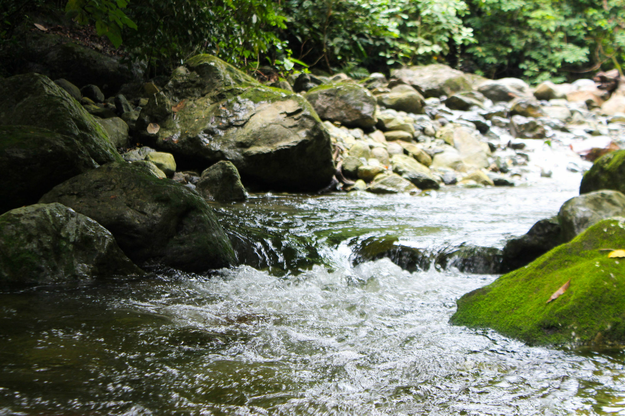 Corinto Pearl Eco Resort El Pino Luaran gambar