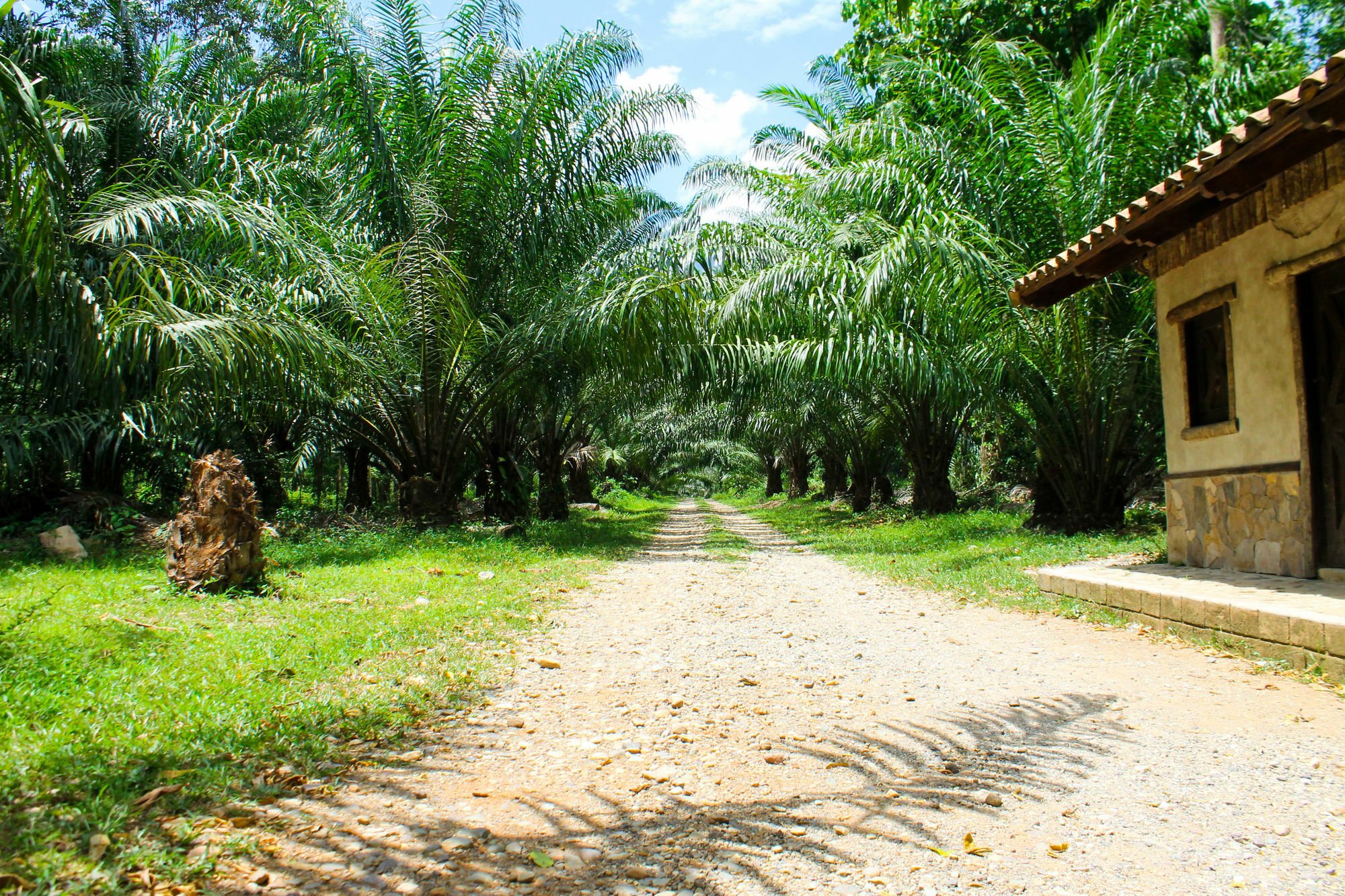 Corinto Pearl Eco Resort El Pino Luaran gambar